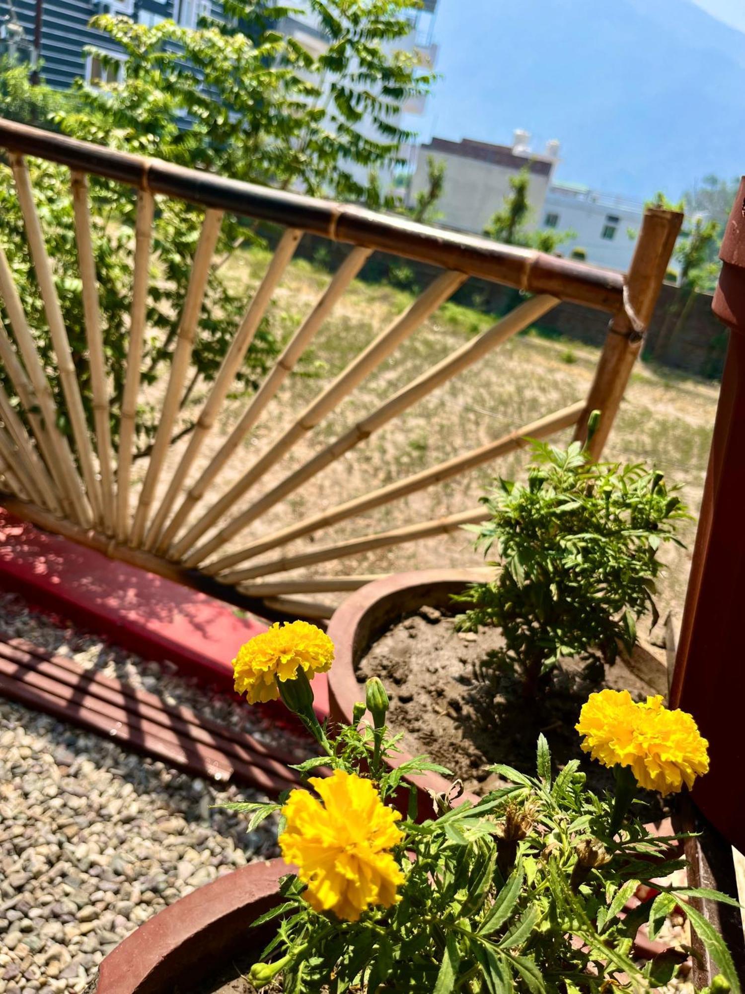 Bamboo Garden Cottages And Cafe Rishīkesh Eksteriør billede