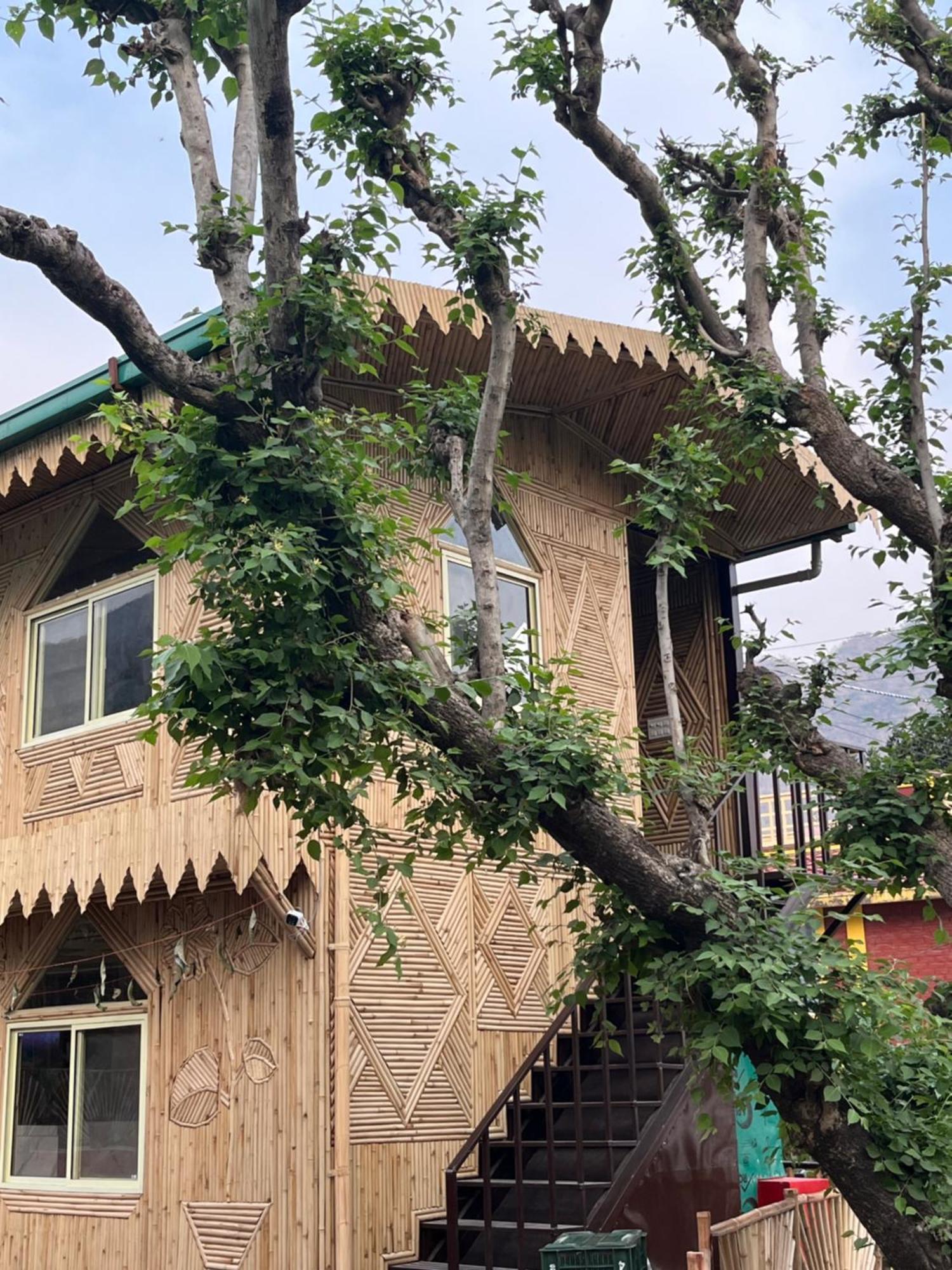 Bamboo Garden Cottages And Cafe Rishīkesh Eksteriør billede